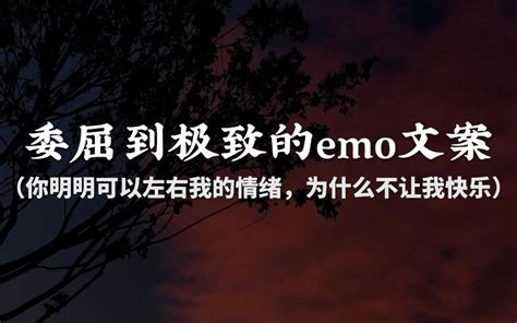 “我从未想过放弃你，可你的态度打的我好疼。”委屈到极致的emo文案 哔哩哔哩