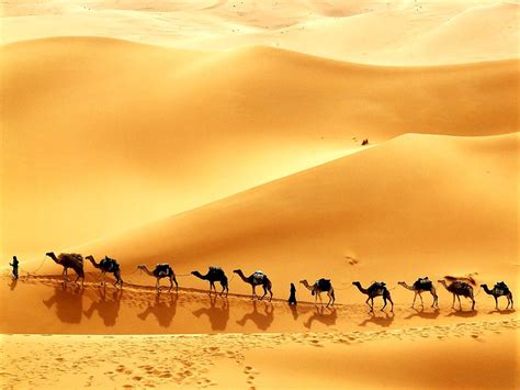 Desert, Sand, Sahara wallpaper 🔥 FREE Download backgrounds