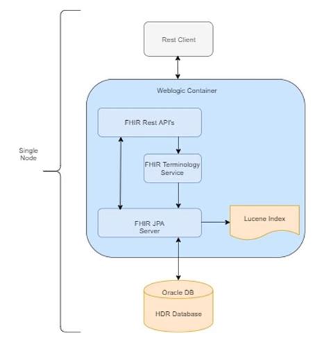 Hdr Fhir Server Architecture