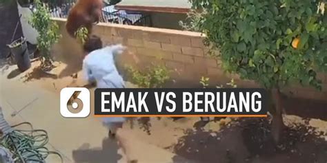 Video Menegangkan Emak Emak Lindungi Anjingnya Dari Serangan Beruang