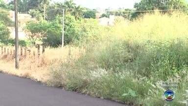 Bom Dia Cidade Rio Preto Mato Alto Em Terrenos De Ara Atuba Invade