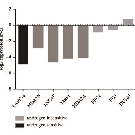 Loxl Was Upregulated In Crpc Cell Lines And Radioresistant Prostate