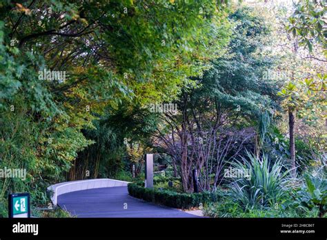 Pergola On The Wharf Theatre Crossrail Place Roof Garden Canary Wharf