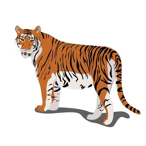 Standing Tiger Clip Art