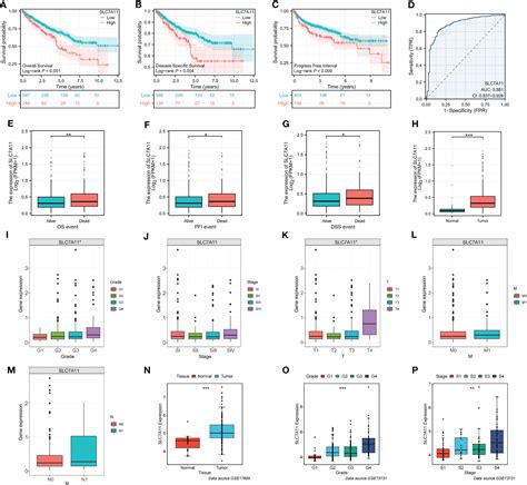 Frontiers An Integrative Multi Omics Analysis Based On Disulfidptosis