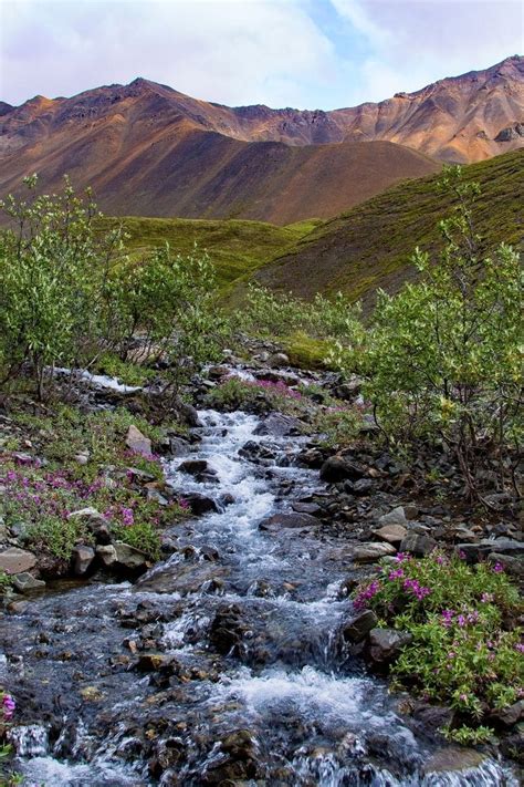 13 ABSOLUTE Best Hikes In Wrangell - St. Elias National Park For 2023 ...