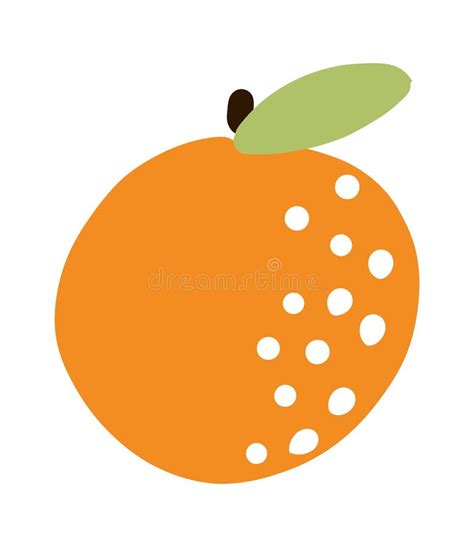 Orange Fruit Tropical Doodle Citrus Stock Vector Illustration Of