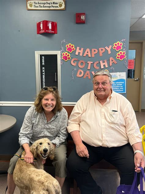 livingston county animal control howell mi 9