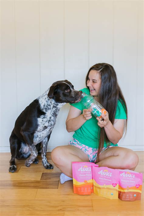 dog enrichment ideas 5