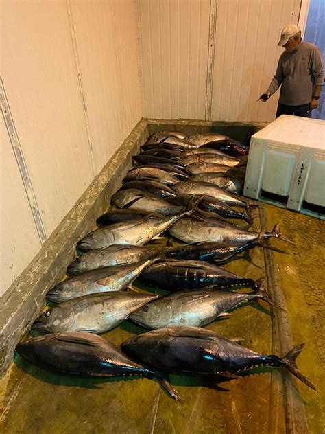 Polícia Marítima apreende 810 quilos de pescado em Vila do Porto