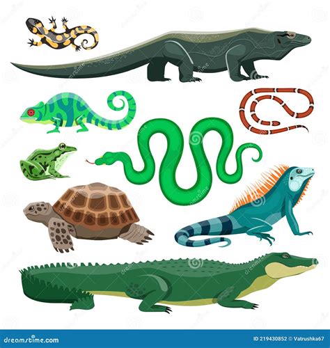 Reptiles and Amphibians. Lizard, Crocodile, Turtle, Snake, Iguana ...