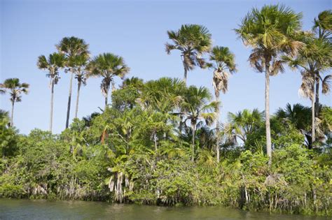 Clima da região Nordeste tipos e características Brasil Escola