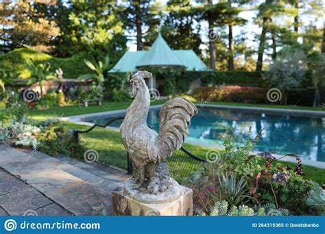 Chanticleer Rooster Stock Image | CartoonDealer.com #10449991