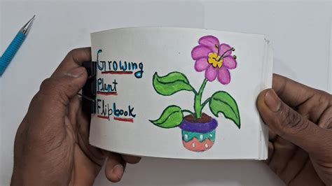 Growing Plant Flipbook YouTube