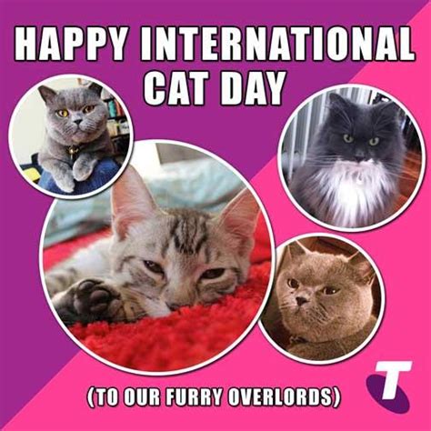 Happy International Cat Day To All The Cats And Cat Lovers Out Ther