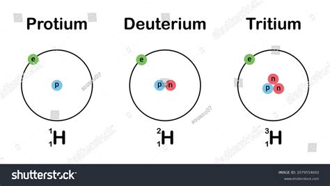 Protium: Over 83 Royalty-Free Licensable Stock Vectors & Vector Art ...