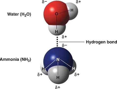 Watermoleculehtml 0302watermoleculesl