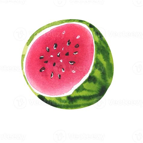 Watercolor Fruit Slice Of Watermelon 12067057 Png