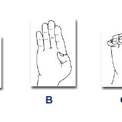 Hand gesture recognition algorithm block diagram. | Download Scientific Diagram