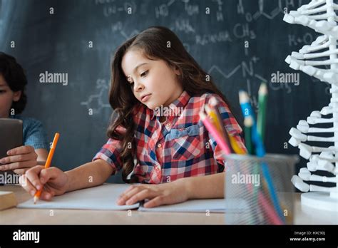 Involved Little Girl Doing Science Homework At School Stock Photo Alamy