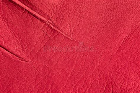 The Texture of Natural Pigskin Close-up. Genuine Leather is Painted Red ...