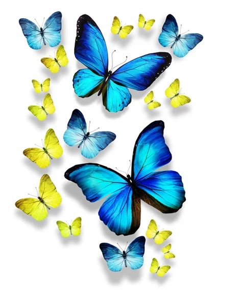 Tres Mariposas Azules Aisladas Sobre Fondo Blanco Fotograf A De Stock