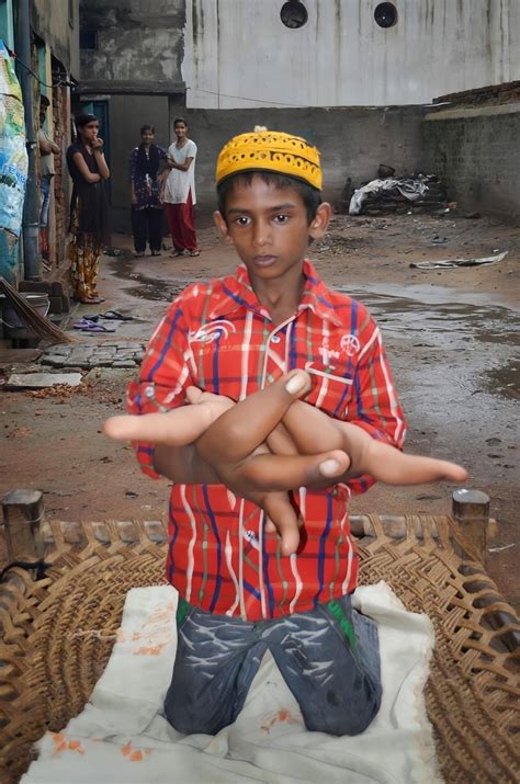 Outside Predators | New York NY