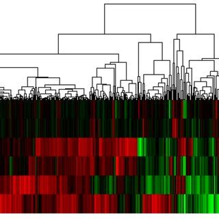 Hierarchical Cluster Analysis Of Gene Expression Levels Derived By