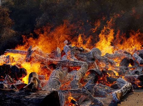 Heres What The Wildfires Devastation In California Looks Like Gallery