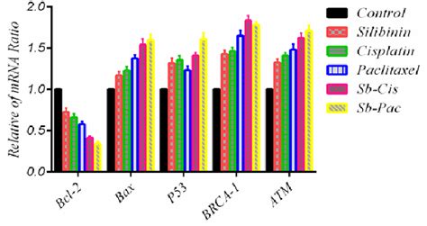 Effect Of Combination Of Silibinin Cisplatin And Paclitaxel In Mrna