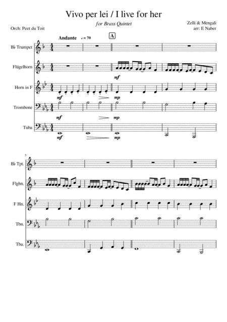 Vivo Per Lei Arr Peet Du Toit By Andrea Bocelli Sheet Music For