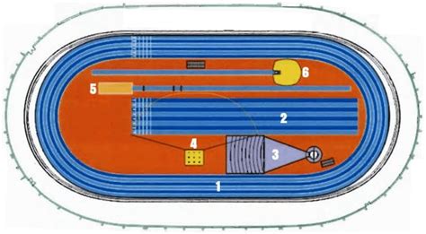 Partes De Una Pista De Atletismo