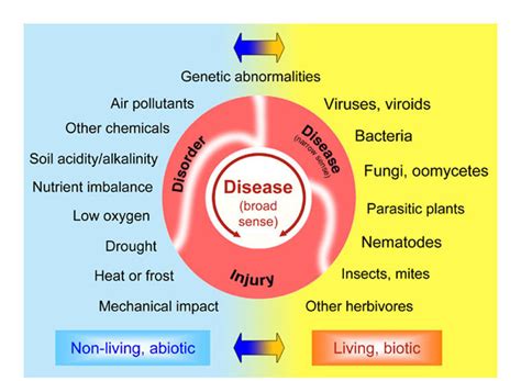 Plant Pathology Diseases