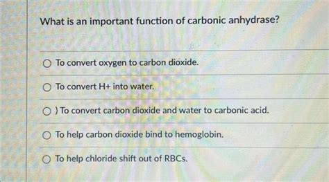 Solved What Is An Important Function Of Carbonic Anhydrase Chegg