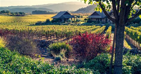 23 Best Places to Stay When Visiting Napa Valley