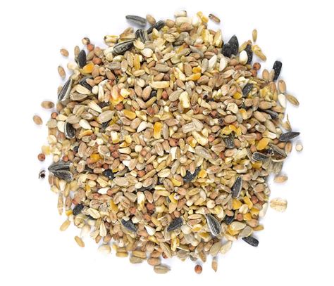 BULK WILD BIRD SEED