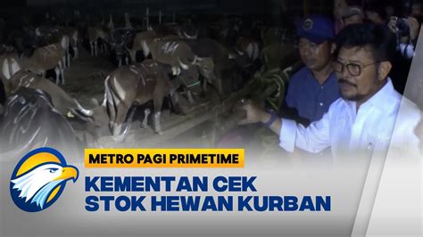 Kementan Pastikan Ketersediaan Hewan Kurban YouTube