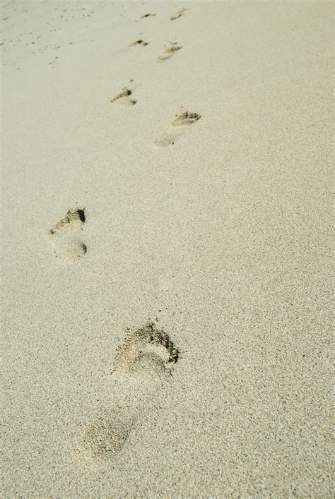 stock photo  barefoot footprints  sand photoeverywhere