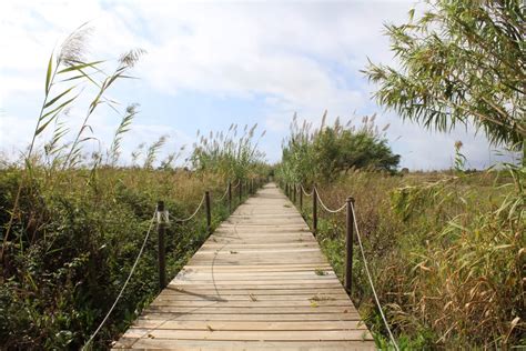 Delta Del Llobregat Para So Natural Al Lado De Barcelona