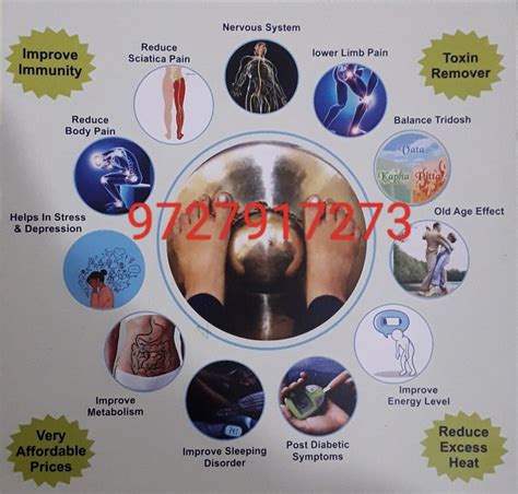 Black Vibrating KANSA ACUPRESSURE LEG MASSGER MACHINE At Rs 25000 In Surat