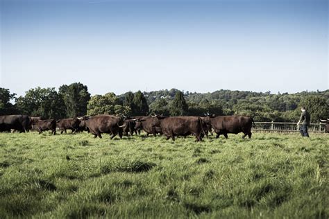 Our Appeal To Farm With Nature Living Soils Going Beyond Organic