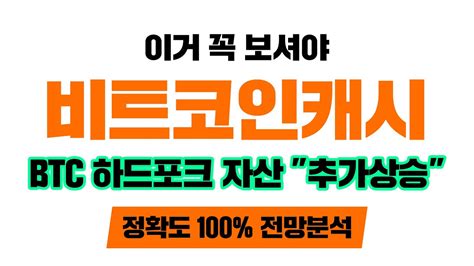 비트코인캐시 긴급 정확도 100 지금부터 Btc 하드포크자산 집중공략 해야됨 코인시황 Youtube