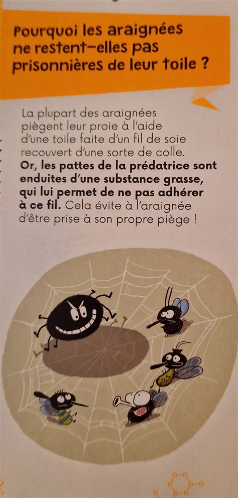 Italki Post 210 Sur Ce Post Je Te Partage L Extrait D Un Livre