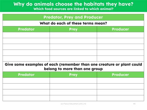 Predator, prey and producer - Worksheet | Science 1st Grade