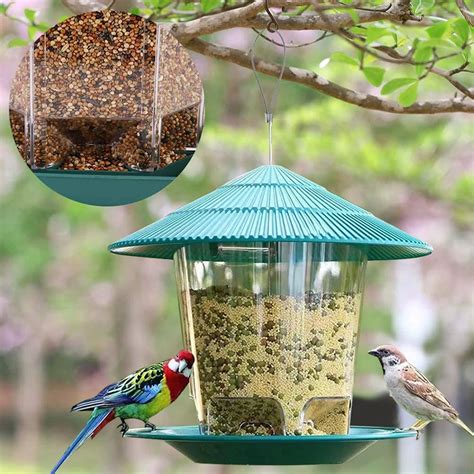 Mangeoire Oiseaux Automatique Outil D Alimentation Des Pieds En Plein