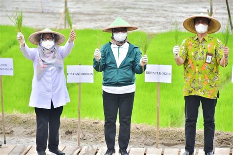 Pemkab Bogor Sediakan Lahan Seluas Hektare Di Kecamatan Untuk