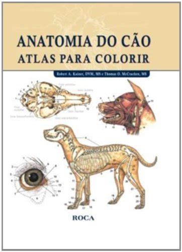 Os Melhores Livros Sobre Medicina Veterin Ria Livros Da Bel