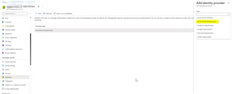 Customising Azure Api Management Developer Portal S User Management