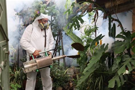 125 MIL VIVIENDAS FUERON FUMIGADAS CONTRA EL DENGUE EN LA LIBERTAD