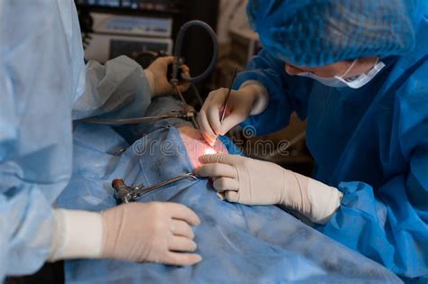 Vet Doing The Operation For Sterilization The Cat On The Operating